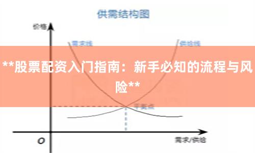 **股票配资入门指南：新手必知的流程与风险**
